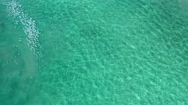 LOS CABOS MEXICO-2020: See Through Light Blue Sea Waters Recorded By Camera In