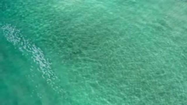 LOS CABOS MEXICO-2020: Wild Beach With Crystal Clear Water