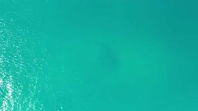 LOS CABOS MEXICO-2020: Aerial View Of Sea Green Ocean Panning Closer To The