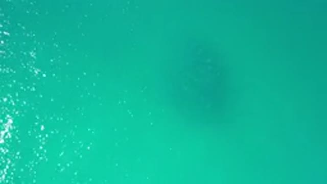 LOS CABOS MEXICO-2020: Open Water Glistening With Few Waves And Lots Of Sunshine