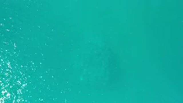 LOS CABOS MEXICO-2020: A Body of Blue Teal Colored Water Has Ripples Slowing