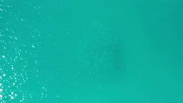 LOS CABOS MEXICO-2020: Shiny Calm Blue Ocean Waters Recorded From The Sky By