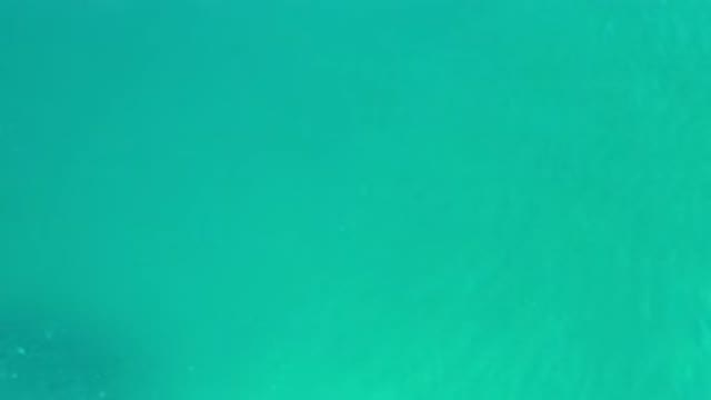 LOS CABOS MEXICO-2020: Light Greenish Water With Gentle Waves