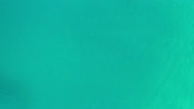 LOS CABOS MEXICO-2020: Deepest Green Sea They Have Explored