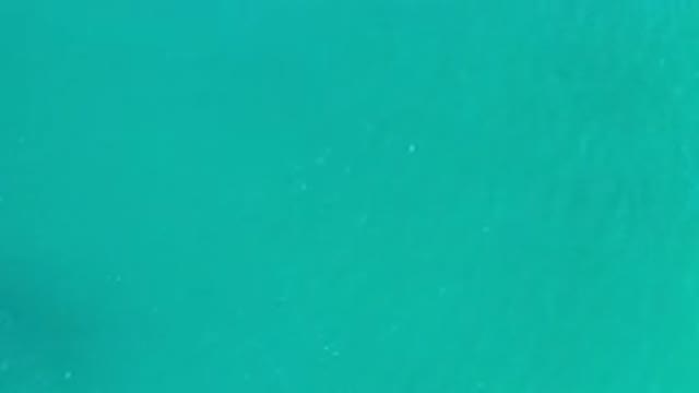 LOS CABOS MEXICO-2020: Deep Green And Clean Sea