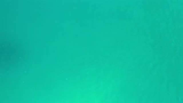 LOS CABOS MEXICO-2020: Top View Of A Calm Green Deep Sea Water And A Fish