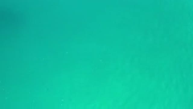 LOS CABOS MEXICO-2020: Beautiful Crystal Clear Ocean That Is So Green And Calm