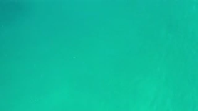 LOS CABOS MEXICO-2020: Crystal-Clear Green And Deep Sea In Los Cabos