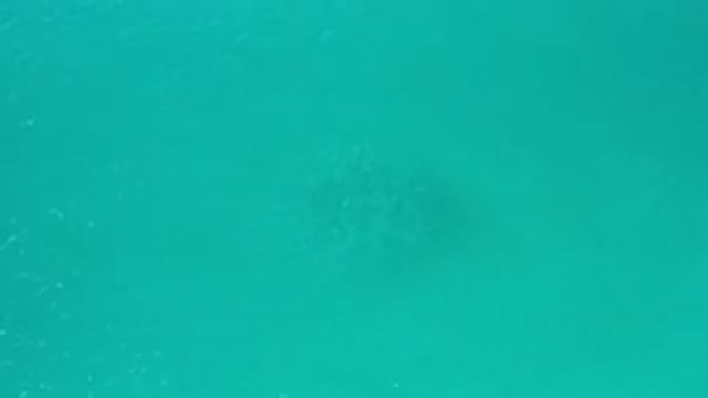 LOS CABOS MEXICO-2020: Green And Clean Sea In Los Cabos