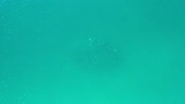 LOS CABOS MEXICO-2020: The Sea Is Moving Graciously In Random Motion With A Teal