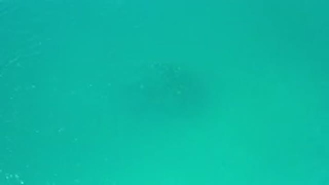 LOS CABOS MEXICO-2020: A Beautiful Teal Colored Part Of The Ocean Shimmers As