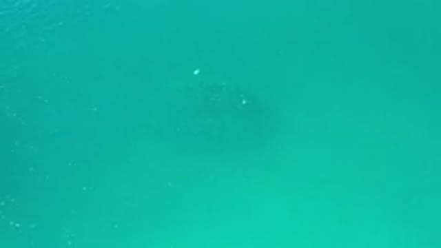 LOS CABOS MEXICO-2020: Green And Deep Sea In Los Cabos
