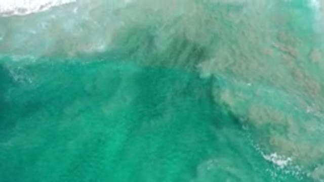 LOS CABOS MEXICO-2020: Waves Arriving At The Shore Of A Salty Green Ocean