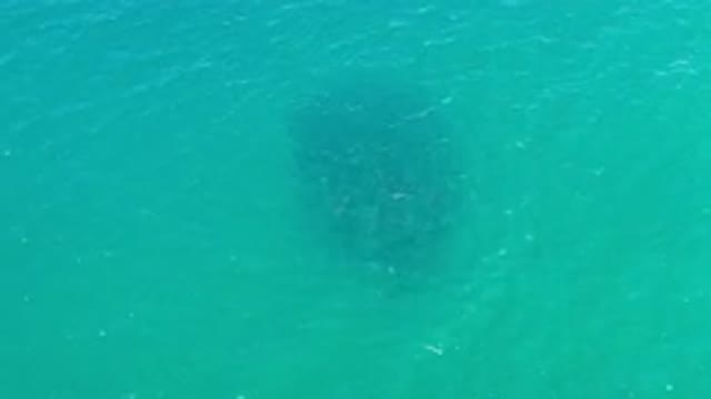 LOS CABOS MEXICO-2020: Straight Top View Of Deep Green Water And A School Of Fish