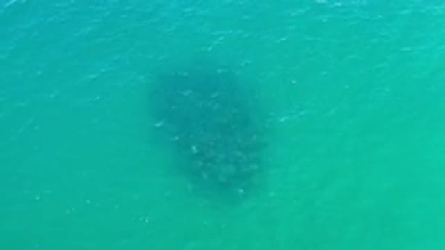 LOS CABOS MEXICO-2020: A Scene In The Sea Where There Is A Dark Coloured Patch