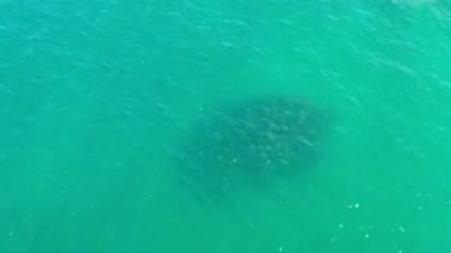 LOS CABOS MEXICO-2020: Elliptical Shadow Moving Right Within Teal Body Of Shiny Water