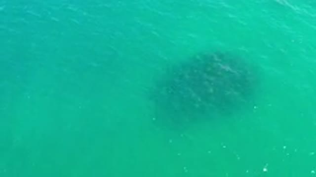 LOS CABOS MEXICO-2020: Shiny Blue Green Waters From The Ocean Recorded From The