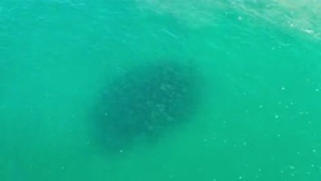 LOS CABOS MEXICO-2020: Green Tinted Water With A Dark Shadow Over The Water But
