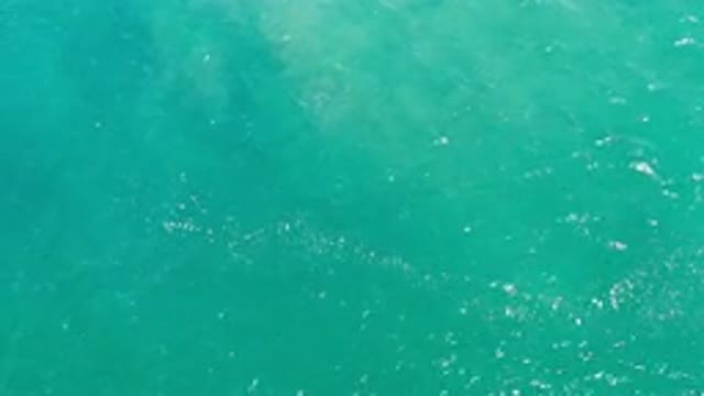 LOS CABOS MEXICO-2020: Top View Of Deep Calm And Green Sea Water With Light