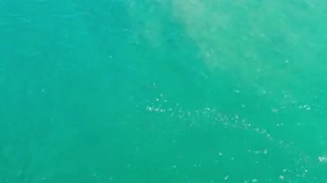 LOS CABOS MEXICO-2020: Light Blue Water Ocean With Sunlight Reflecting On Surface