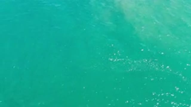 LOS CABOS MEXICO-2020: The Ocean Water Is Blue Flowing Slowly Back And Forth