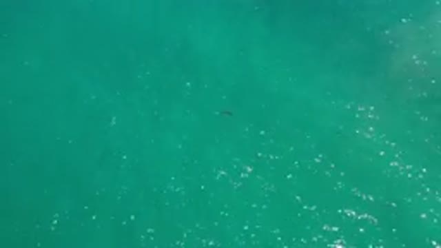 LOS CABOS MEXICO-2020: Sea Of Green And Blue Water In Rhythmic And Calm Movement