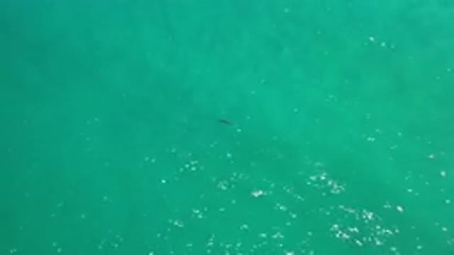 LOS CABOS MEXICO-2020: Sparkling Blue Green Ocean With A Single Fish Or Sea Life