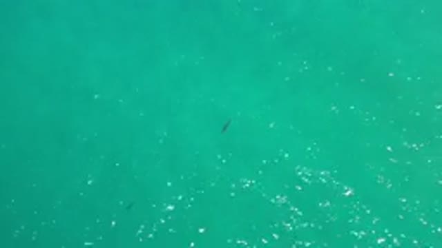 LOS CABOS MEXICO-2020: Shiny Blue And Green Ocean Recorded From The Sky With A
