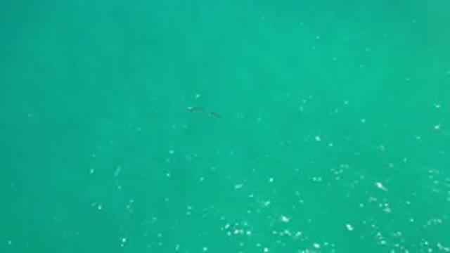 LOS CABOS MEXICO-2020: Pristine Clear Waters Off The Coast Of Los Cabos Mexico