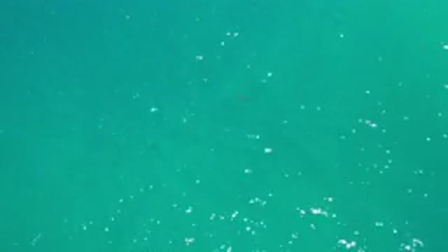 LOS CABOS MEXICO-2020: Sky View Of A Fish Or Scuba Diver Moving Under The