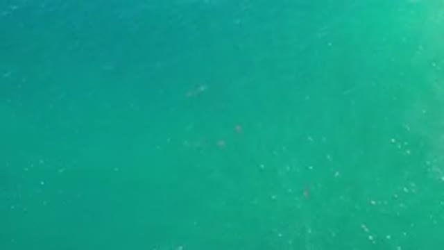 LOS CABOS MEXICO-2020: An Aerial View Of The Ocean's Clear Water A Small Wave Is Forming