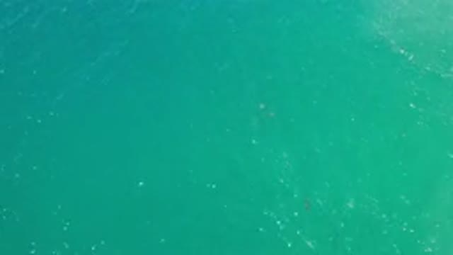 LOS CABOS MEXICO-2020: Overview Of Beautiful Mesmerizing Greenish Blue Water Sea