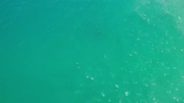 LOS CABOS MEXICO-2020: A Top View Of Calm Green Water Sea And Something Black