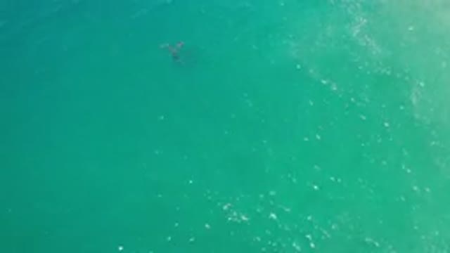 LOS CABOS MEXICO-2020: Sparkling Green and Blue Water Waves
