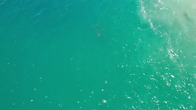 LOS CABOS MEXICO-2020: The Sunlight Reflects On The Surface Of The Ocean While A