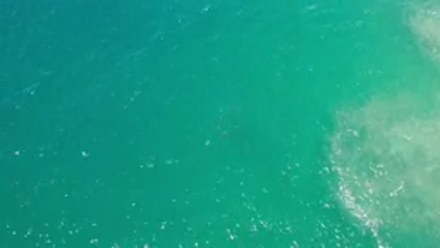 LOS CABOS MEXICO-2020: A Top View Of Beachside Green Water And Something Is