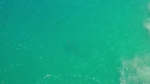 LOS CABOS MEXICO-2020: Person Captured By Drone While Swimming In Amazingly