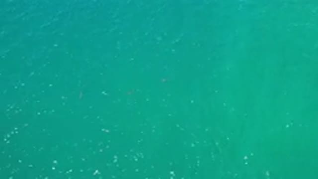LOS CABOS MEXICO-2020: Top View Of Green Sea With Calm Waves And Seaweed In The