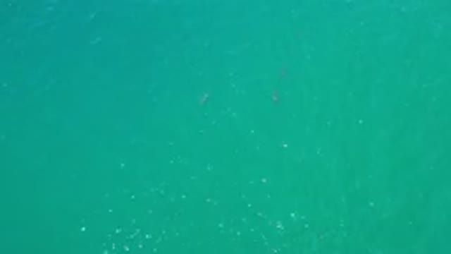 LOS CABOS MEXICO-2020: Aerial View Of A Very Turquoise Blue Sea Water