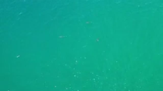 LOS CABOS MEXICO-2020: Light Scattering Across The Shallow Waters Of A
