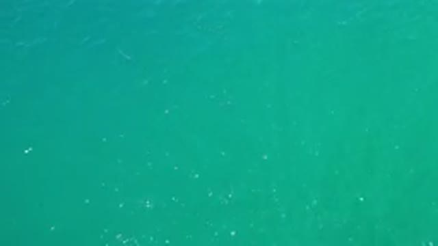 LOS CABOS MEXICO-2020: Green Sea Deep Sea Wonderful To Look At