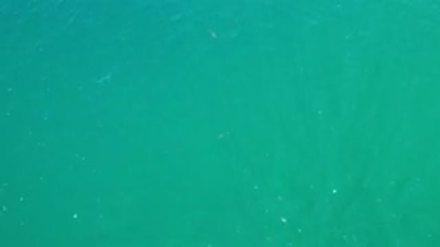 LOS CABOS MEXICO-2020: Blue Green Sparkling Refreshing Ocean Water On A Nice Hot Day