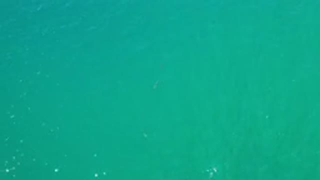 LOS CABOS MEXICO-2020: A Beautiful Body Of Water Travels Along The Canal With