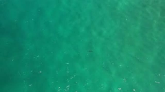 LOS CABOS MEXICO-2020: Straight Top View Of Deep Green Water And A Black Spot