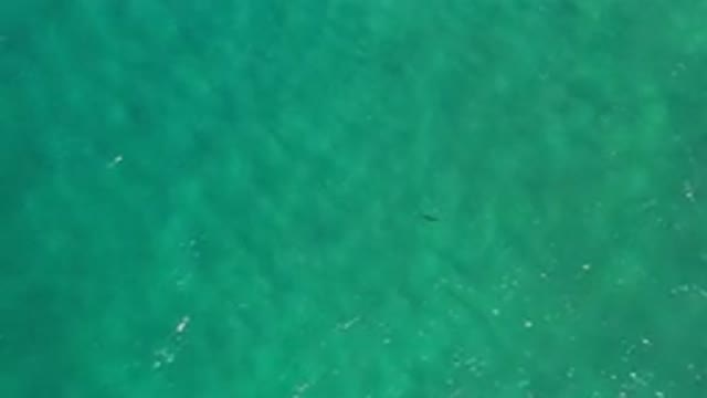 LOS CABOS MEXICO-2020: Crystal Clear Ocean Waves in Natural Light