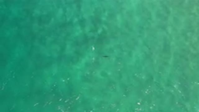 LOS CABOS MEXICO-2020: Colorful Peaceful Serene Waves Rocking Across A Bright Sea