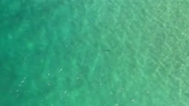 LOS CABOS MEXICO-2020: Top View Of A Calm Green And Deep Water With Light Waves