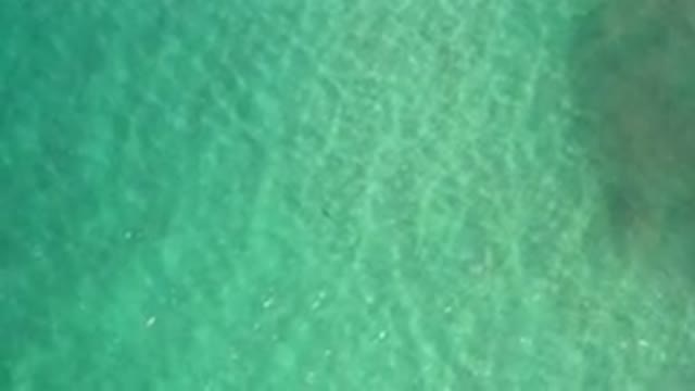 LOS CABOS MEXICO-2020: Nice Slow Motion Showing In The Ocean