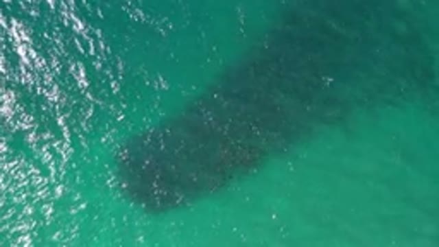 LOS CABOS MEXICO-2020: Waves On The Surface Of Aqua Blue Water Pass Over A