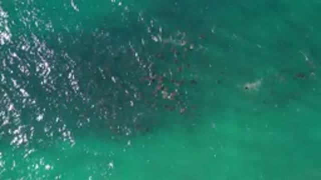 LOS CABOS MEXICO-2020: Beautiful Aerial View of Glistening Clean and Clear Ocean